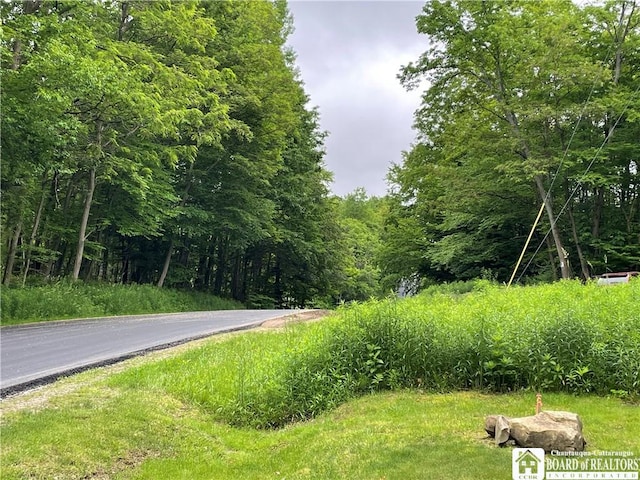 0 Luce Rd, Ellery, NY 14712