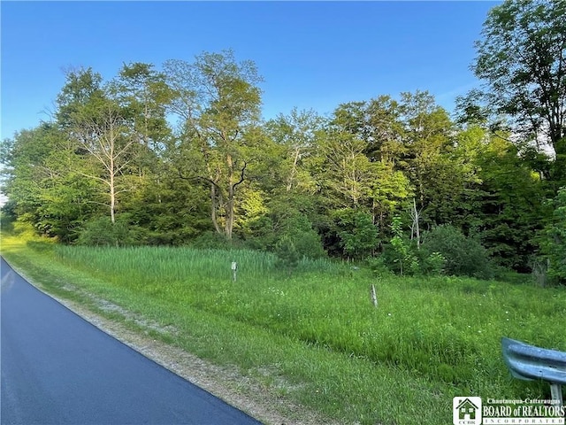 0 Luce Rd, Ellery, NY 14712