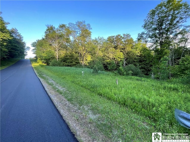 0 Luce Rd, Ellery, NY 14712