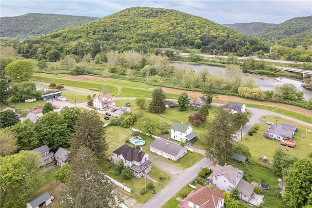 39 Middle St, Hancock, NY 13756 - aerial view of property and surrounding area with a heavily wooded area and a water and mountain view