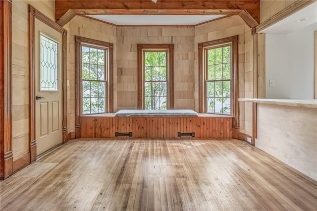 39 Middle St, Hancock, NY 13756 - spare room with light wood-style floors, plenty of natural light, and wooden walls