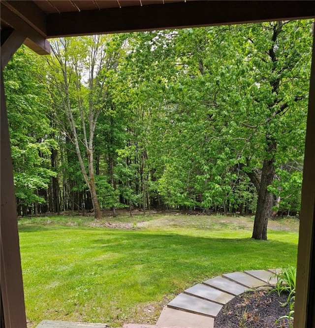 139 Pheasant Run Rd, Middlefield, NY 13326 - view of green lawn featuring a view of trees