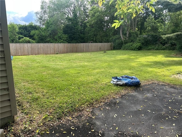107 Douglas Ave, Salina, NY 13088 - photo 15