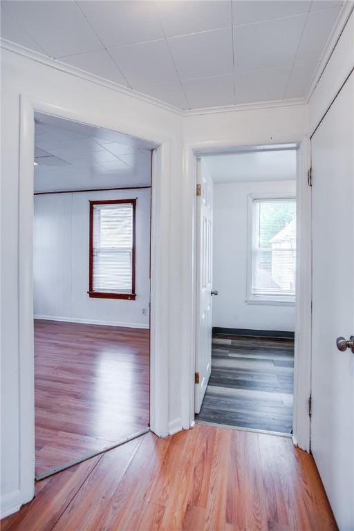 239 Weyl, Rochester, NY 14621 - hall with wood finished floors, plenty of natural light, and baseboards