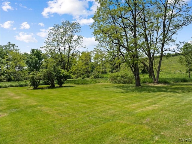 8796 State Highway 12, Sherburne, NY 13460 - view of grassy yard