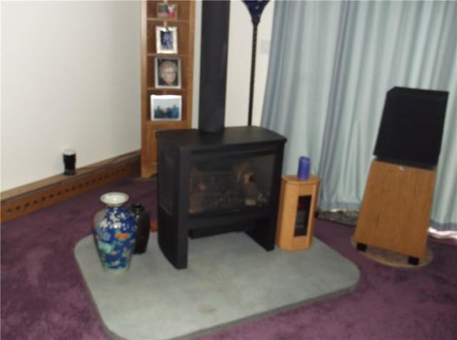 24780 State Highway 206, Colchester, NY 13755 - carpeted living area featuring a wood stove