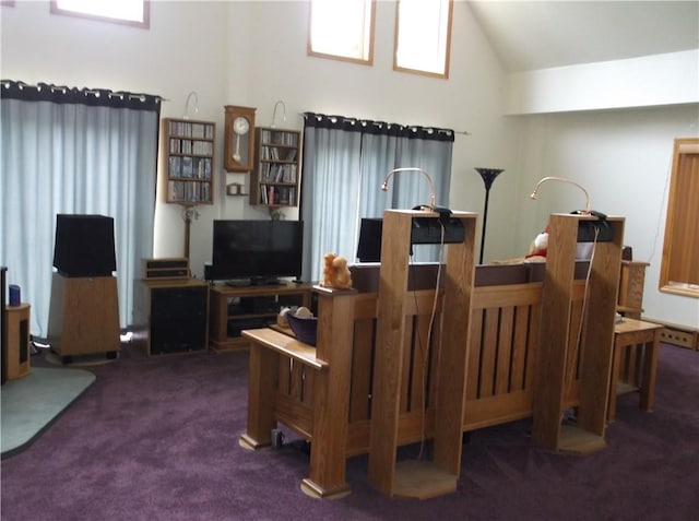 24780 State Highway 206, Colchester, NY 13755 - carpeted living room with high vaulted ceiling and plenty of natural light