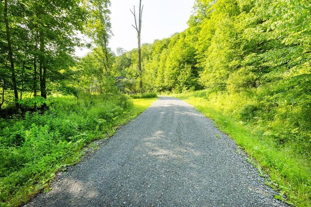 24780 State Highway 206, Colchester, NY 13755 - photo 45