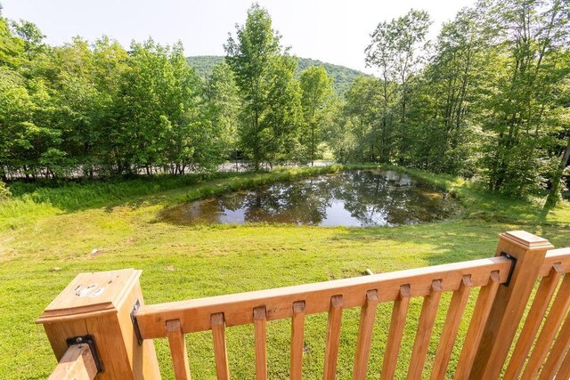 24780 State Highway 206, Colchester, NY 13755 - photo 40