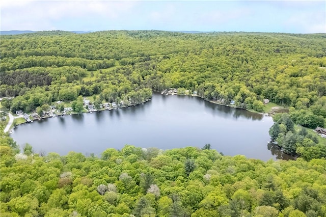 2712 Silver Lake Rd, Hancock, NY 13783 - drone / aerial view of a heavily wooded area and a nearby body of water