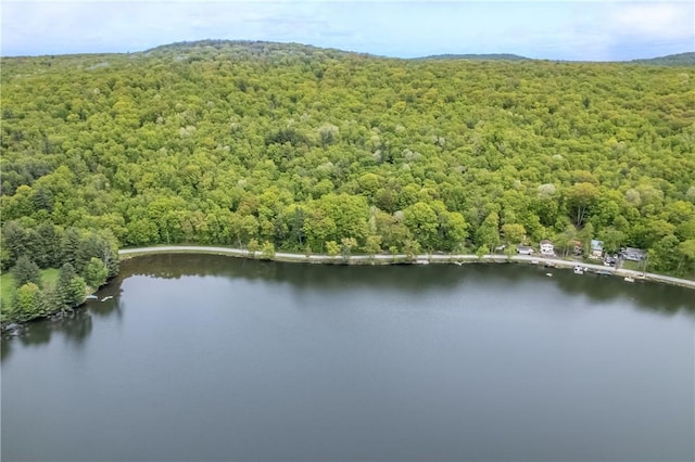 2712 Silver Lake Rd, Hancock, NY 13783 - bird's eye view of a forest and a large body of water
