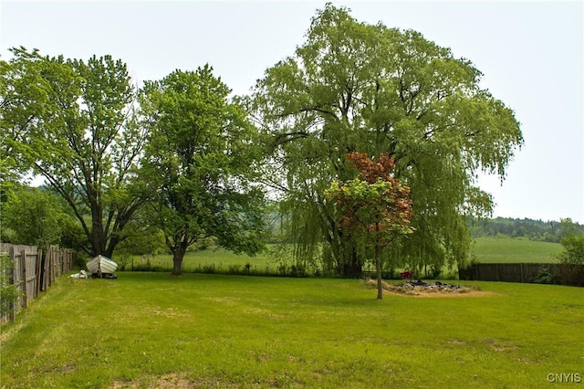 3636 Kennedy Rd, Lafayette, NY 13084 - view of yard