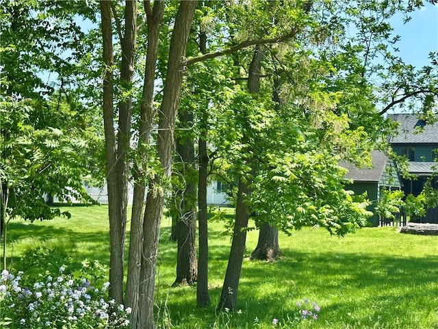 966 W Church St, Elmira, NY 14905 - view of grassy yard