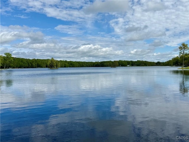 93 Lorton Lake Dr, Orwell, NY 13302 - photo 2