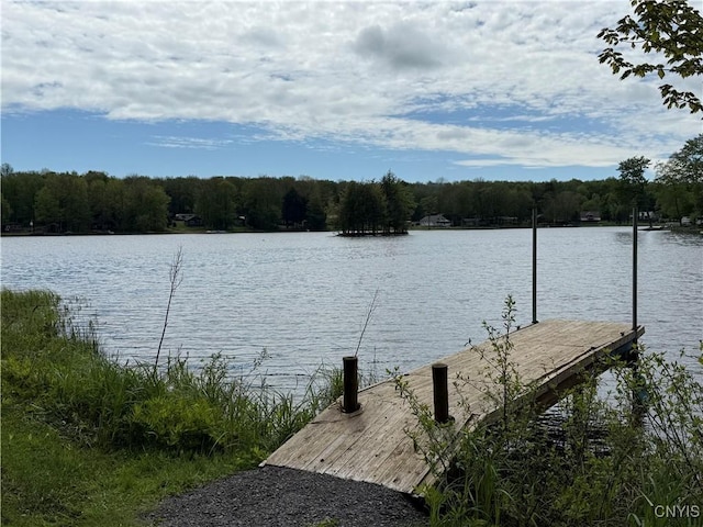 93 Lorton Lake Dr, Orwell, NY 13302 - photo 38