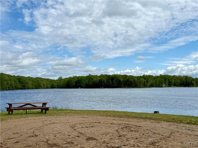 93 Lorton Lake Dr, Orwell, NY 13302 - photo 39