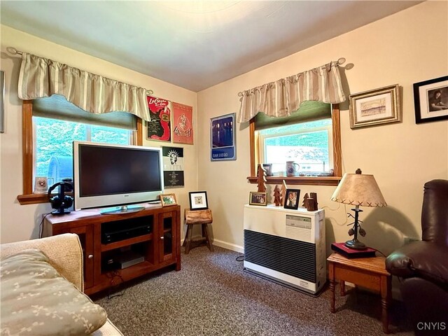 93 Lorton Lake Dr, Orwell, NY 13302 - photo 13