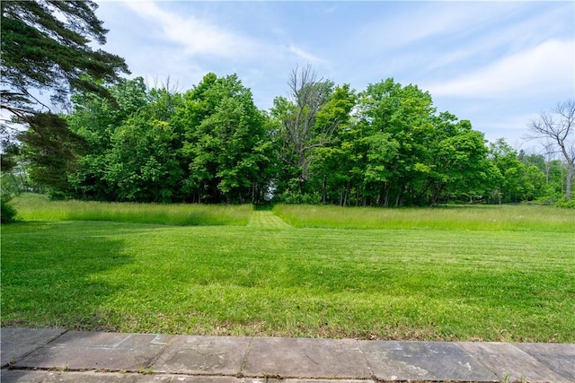1516 Lake Rd, Webster, NY 14580 - view of green lawn