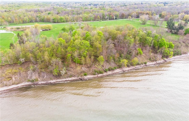 1516 Lake Rd, Webster, NY 14580 - drone / aerial view of a large body of water