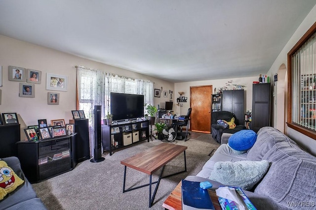 102 Wellworth Pl, Cheektowaga, NY 14225 - living room with carpet floors