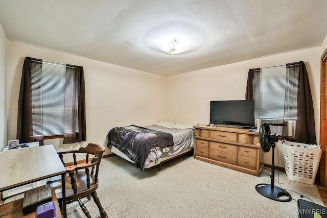 102 Wellworth Pl, Cheektowaga, NY 14225 - view of carpeted bedroom