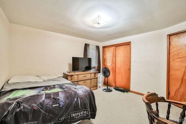 102 Wellworth Pl, Cheektowaga, NY 14225 - bedroom with carpet floors, baseboards, and a closet