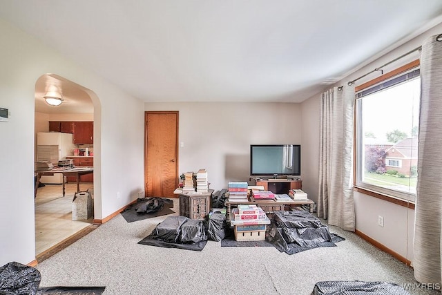 102 Wellworth Pl, Cheektowaga, NY 14225 - living room featuring arched walkways, carpet, and baseboards