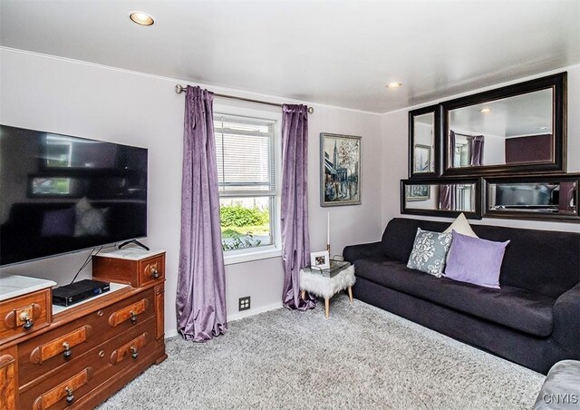 1615 Cortland St, Deruyter, NY 13052 - carpeted living room featuring baseboards and recessed lighting