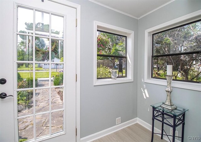 1615 Cortland St, Deruyter, NY 13052 - entryway featuring wood finished floors, baseboards, healthy amount of natural light, and crown molding