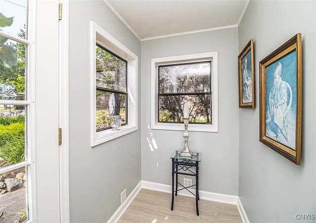 1615 Cortland St, Deruyter, NY 13052 - hall featuring light wood-type flooring, baseboards, and ornamental molding