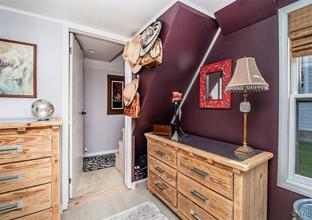 1615 Cortland St, Deruyter, NY 13052 - walk in closet featuring light wood-style floors