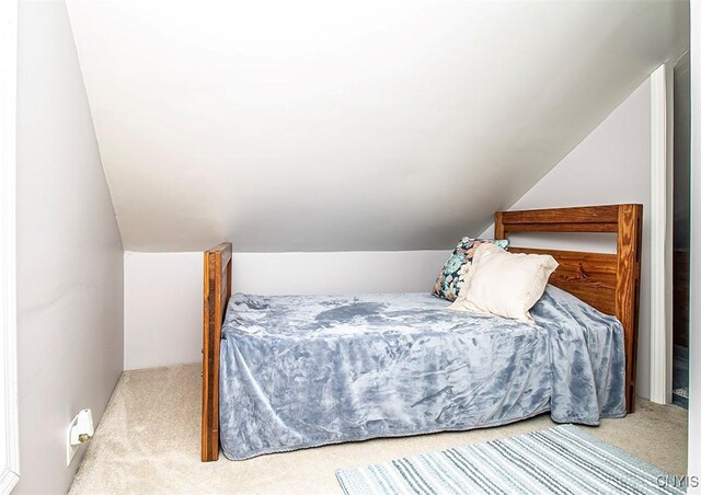 1615 Cortland St, Deruyter, NY 13052 - bedroom featuring carpet flooring and lofted ceiling