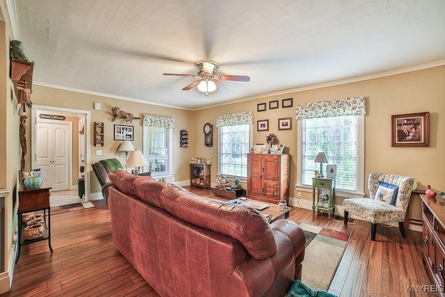 117 Stutzman Rd, Lancaster, NY 14026 - living room featuring ceiling fan, wood-type flooring, crown molding, and baseboards