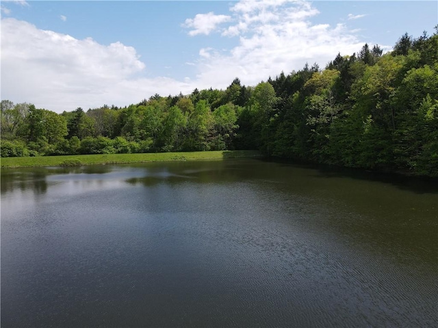 VLLOT1 Hardscrabble Rd, Addison, NY 14801