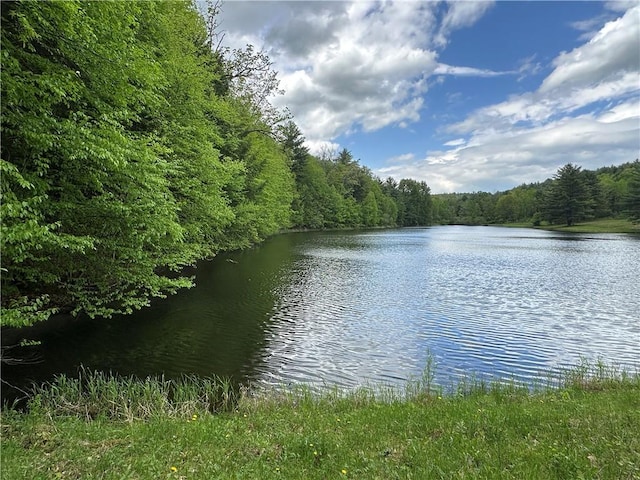 VLLOT1 Hardscrabble Rd, Addison, NY 14801