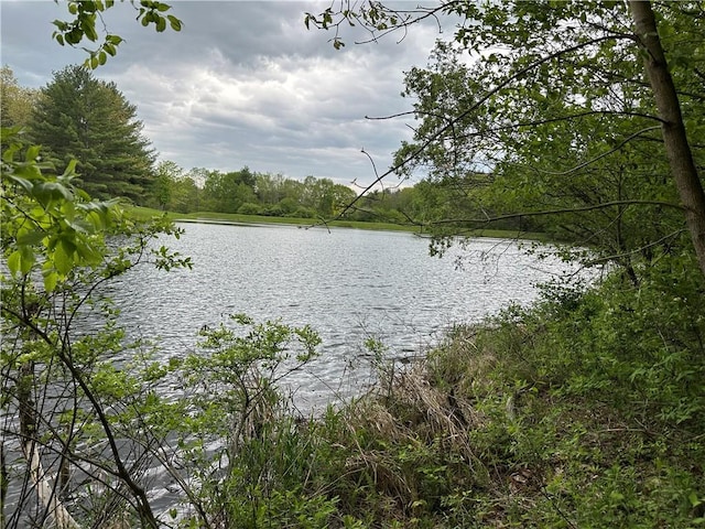 VLLOT1 Hardscrabble Rd, Addison, NY 14801
