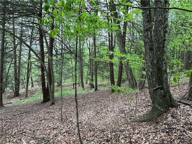 VLLOT1 Hardscrabble Rd, Addison, NY 14801