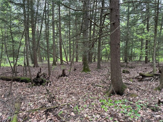 VLLOT1 Hardscrabble Rd, Addison, NY 14801