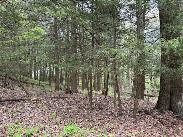 VLLOT1 Hardscrabble Rd, Addison, NY 14801