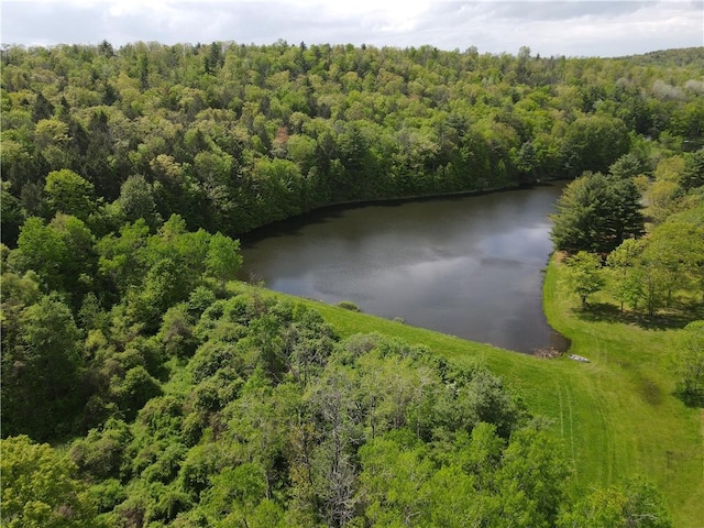 VLLOT1 Hardscrabble Rd, Addison, NY 14801