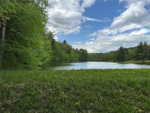 VLLOT1 Hardscrabble Rd, Addison, NY 14801