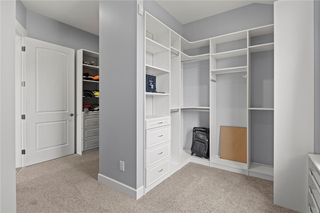 1915 Factors Walk, West Bloomfield, NY 14475 - walk in closet with carpet flooring