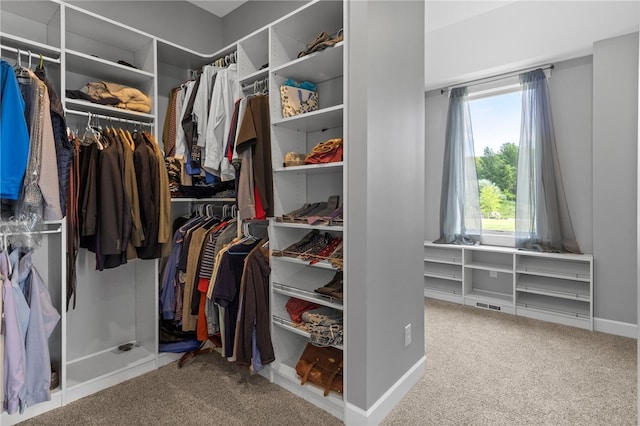 1915 Factors Walk, West Bloomfield, NY 14475 - walk in closet featuring carpet floors