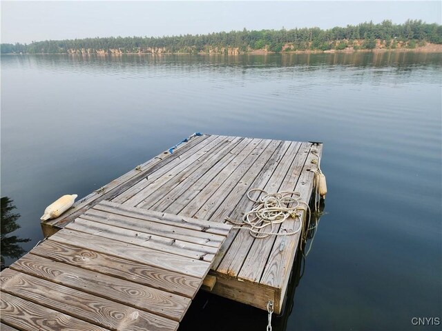 39800 Hyde Lake Rd, Theresa, NY 13691 - photo 34