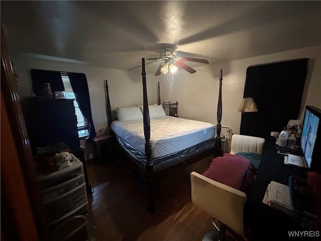 340 Martha Ave, Buffalo, NY 14215 - bedroom with wood finished floors and a ceiling fan