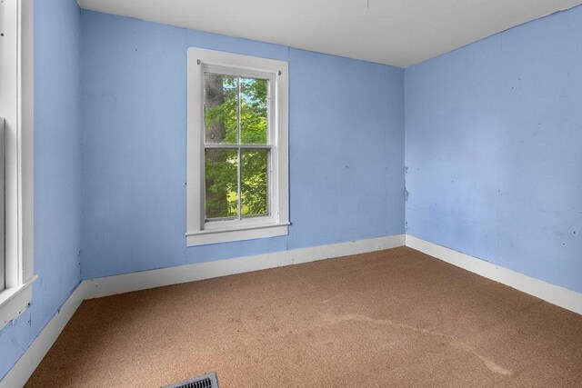 34 Burton St, Walton, NY 13856 - photo 28