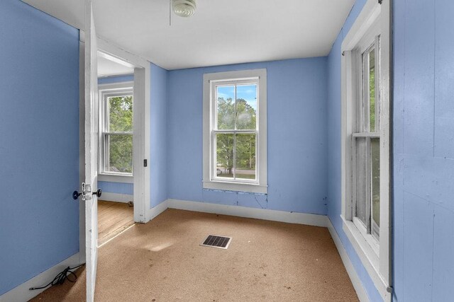 34 Burton St, Walton, NY 13856 - photo 29