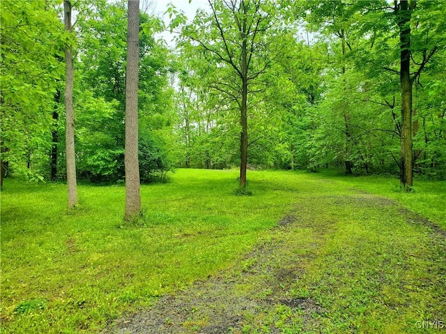 Chase Ave, Springport, NY 13160