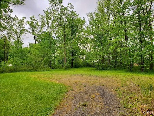 Chase Ave, Springport, NY 13160