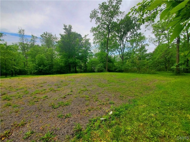 Chase Ave, Springport, NY 13160